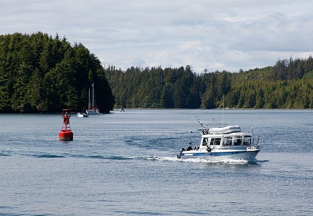 Fresh water fishing licenses available on online system 
