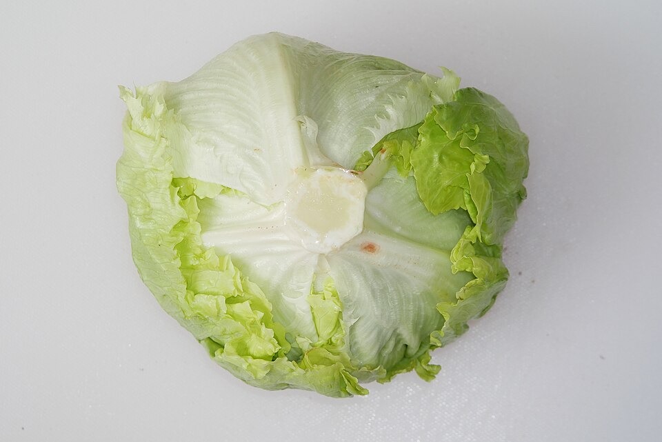 Cyclospora Cases Reported in 41 States as Health Officials Investigate