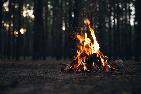 BC Wildfires: More lightening can increase fire behaviour 