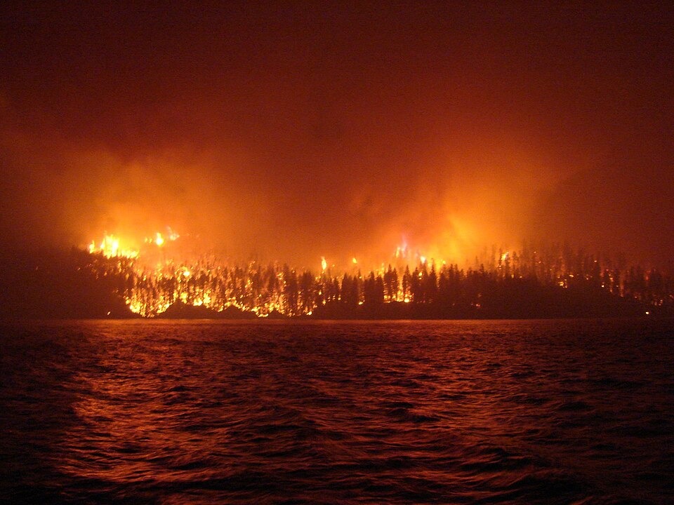 BC Wildfire implements area restriction order