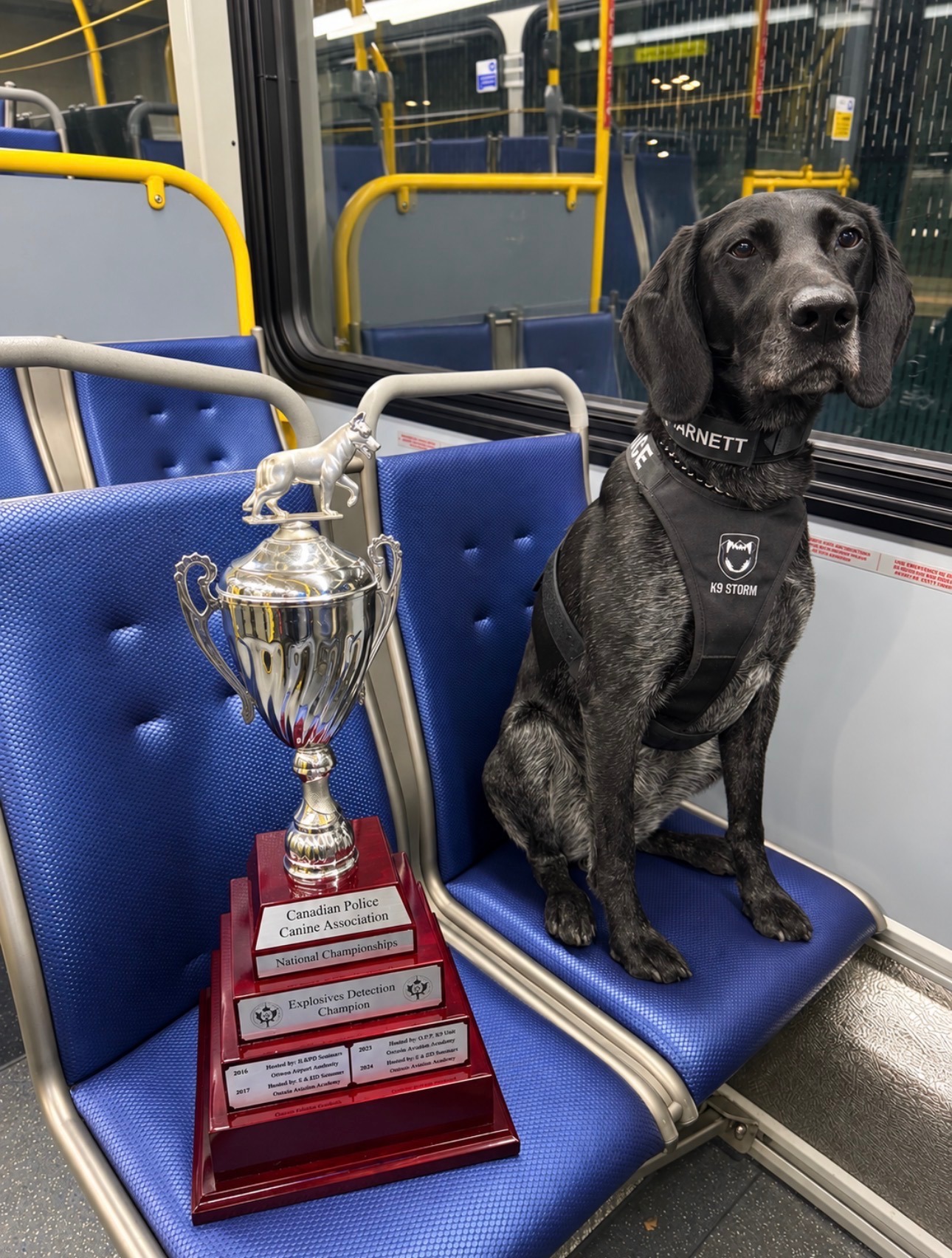 Two Transit Police explosive detection dogs are named the best in Canada  