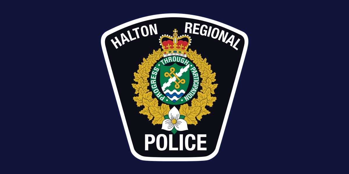 Immigration Fraud Investigation Leads to Arrest