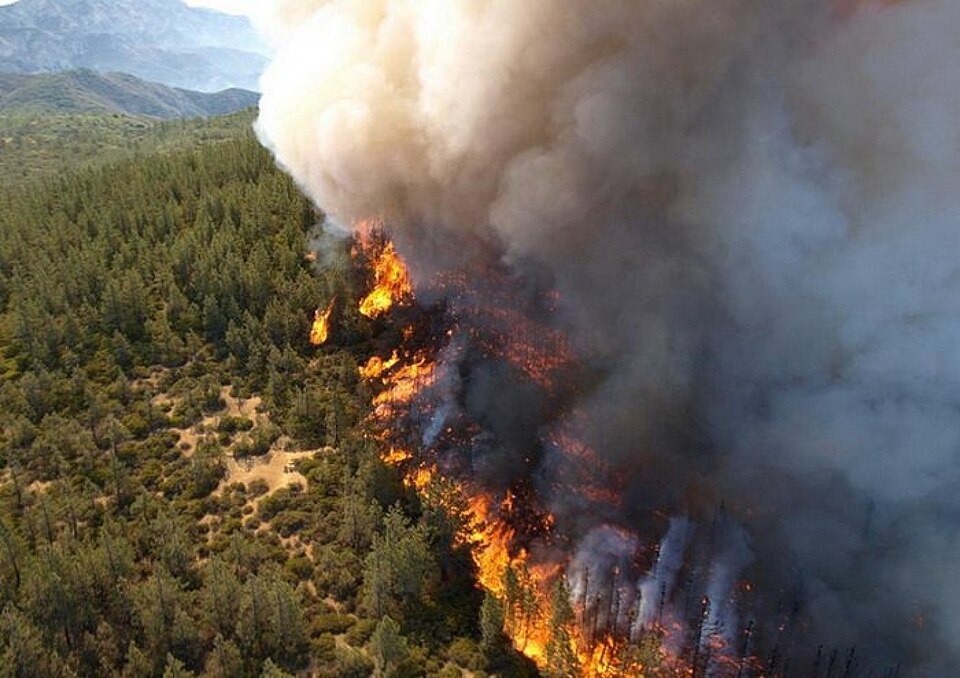 EU Deploys Emergency Aircraft as Wildfires Rage in Spain and France