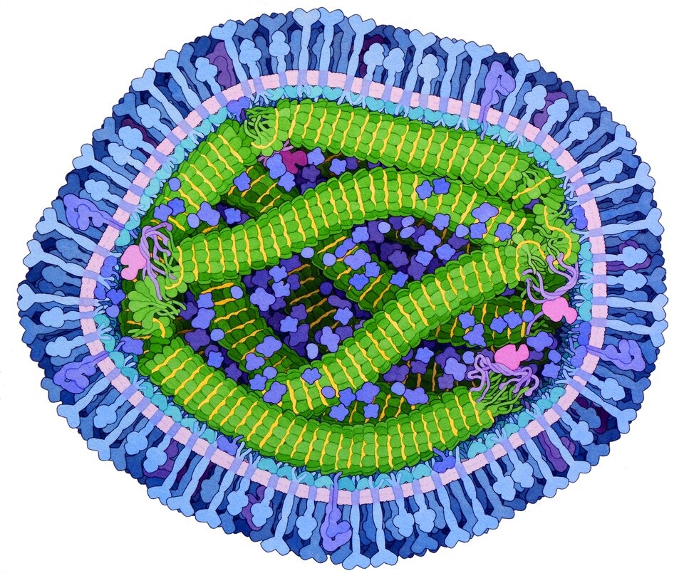 Measles Resurgence Reaches 35-Year High as Pennsylvania Cases Near 900