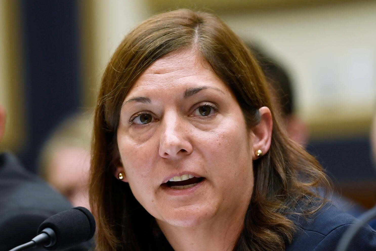Former FBI Agents Face Charges Ahead of US Midterm Elections