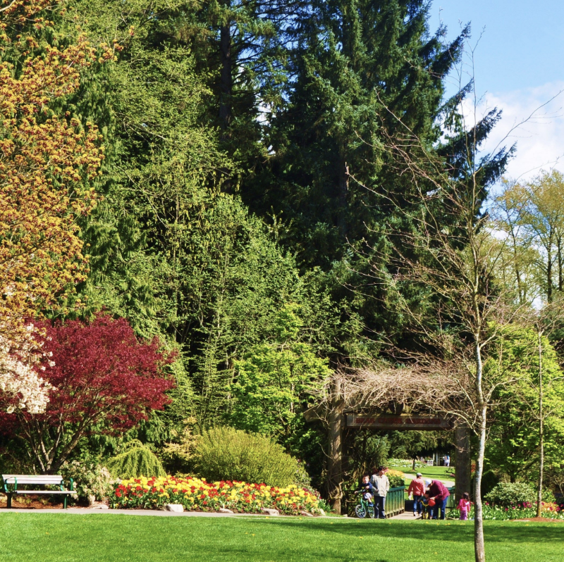 Surrey Bear Creek Park