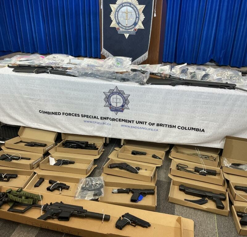 cfseu arms seizure