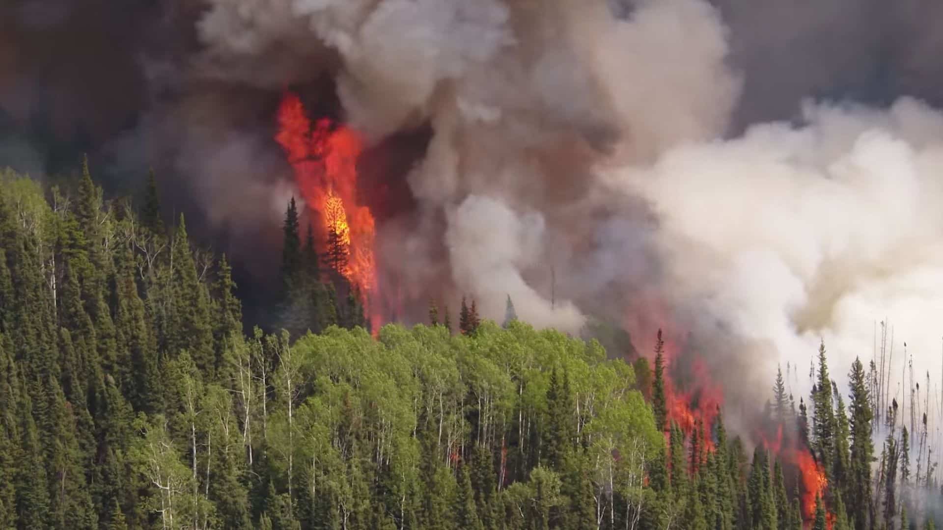 The mayor of Fort Nelson, B.C., has reported that the wildfire is currently only 1.5 kilometers away from the town