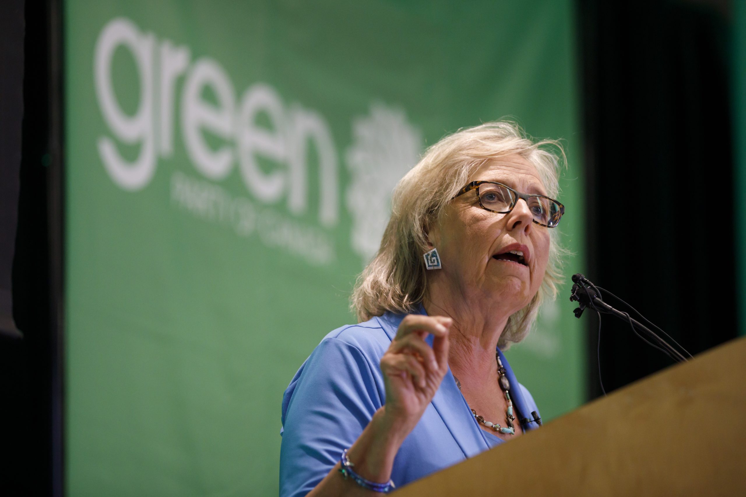 Green Party Leader Elizabeth May Calls for Private Talks on Foreign Interference Report