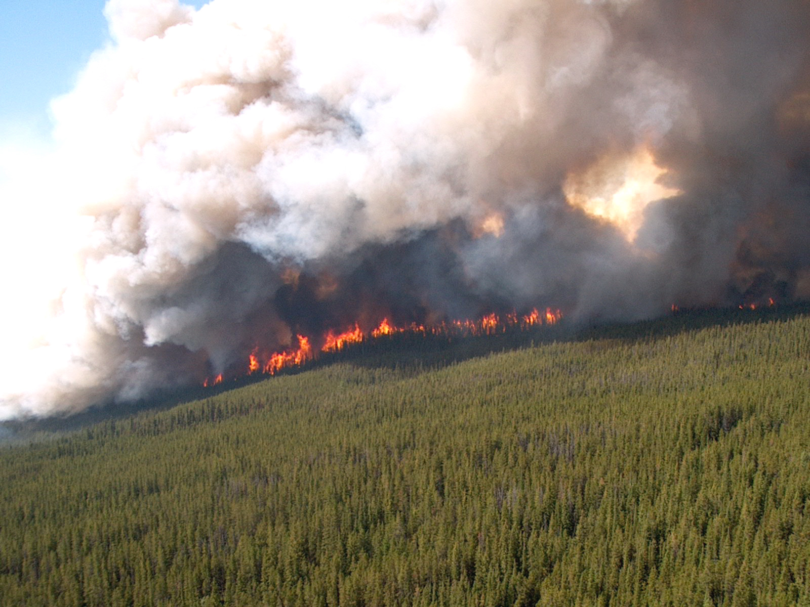 Thompson-Nicola Wildfire Damages Homes, Forces Evacuations